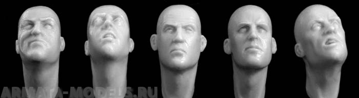 HH19 5 different heads, looking up or stretched out Hornet