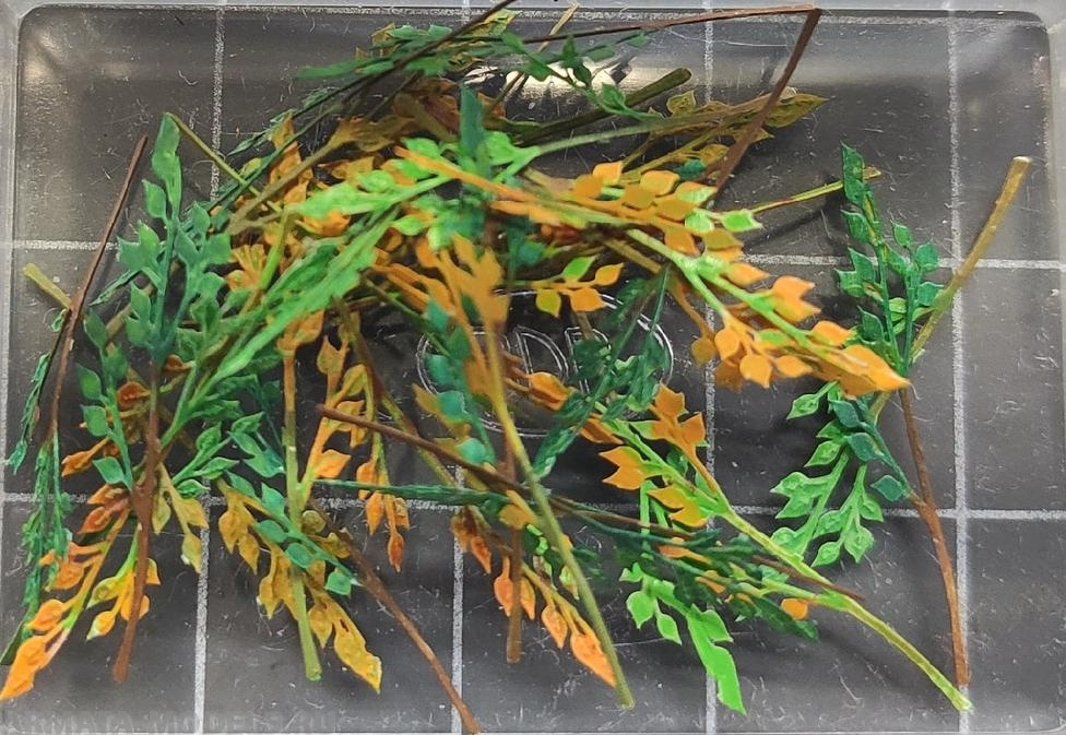 МT35009 ФТД ветки березы