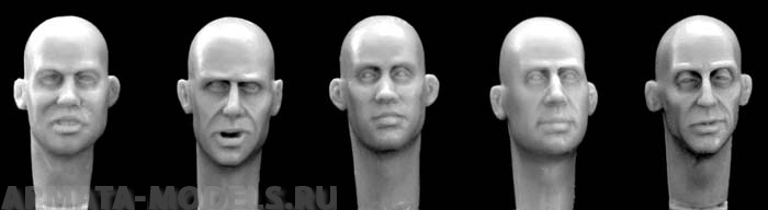 HH06 5 different European bald heads Hornet