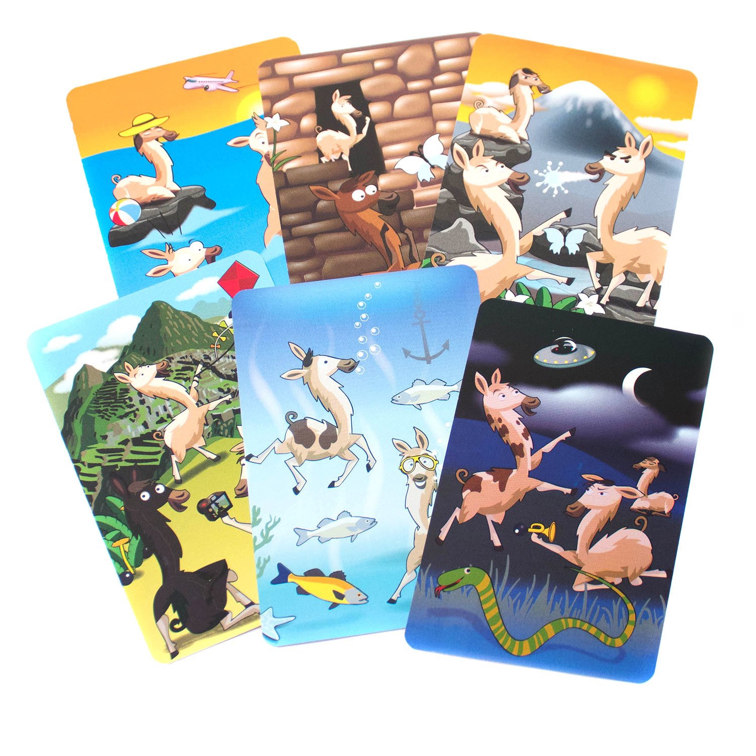 TAC56256 Не расстраивай Ламу