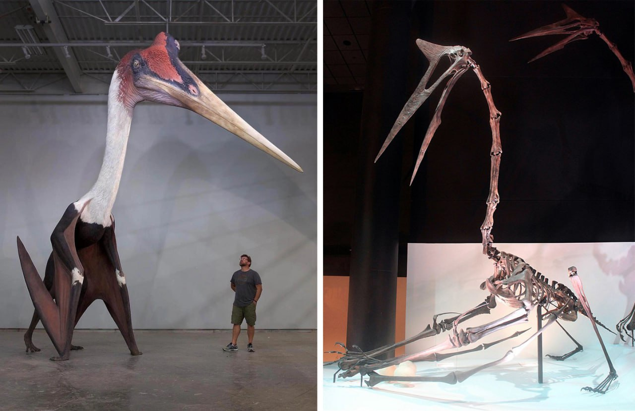 DINO35021 Фигурка Кетцалькоатль