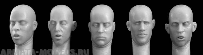 HH20 5 different heads looking down Hornet