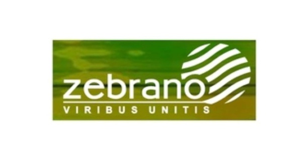 Zebrano Zebrano