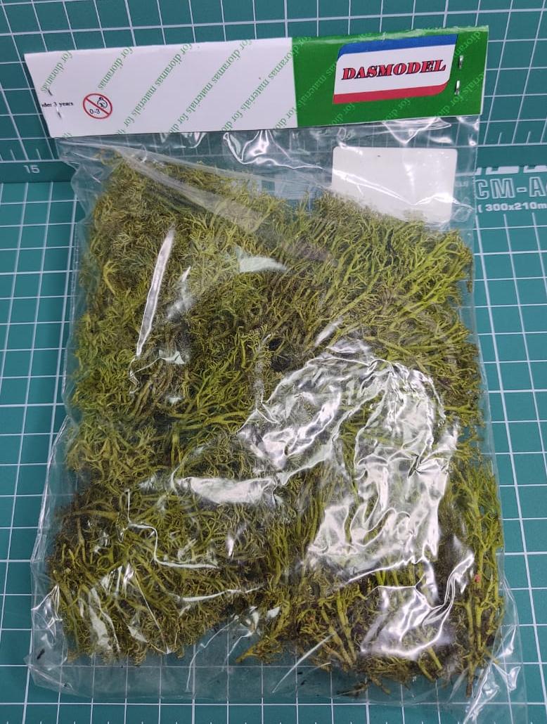 30102 Мох стабилизированный, светло-зелёный