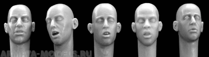 HH09 5 different heads, sleeping Hornet