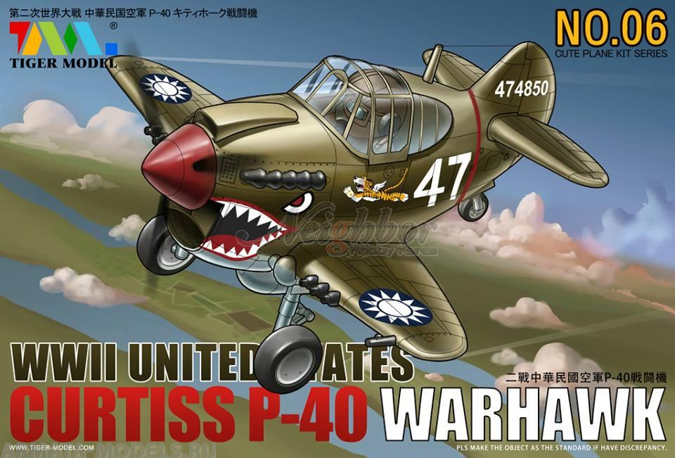 106 Cute  U.S P-40 Warhawk Fighter Tiger Model