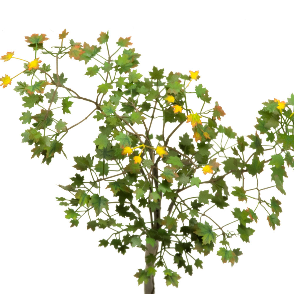 S-113 Клен остролистный, размер М