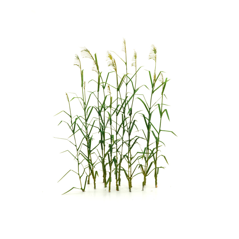 S-099 Тростник, размер S