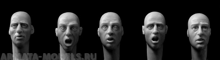 HH30 5 heads, anxious or frightened Hornet