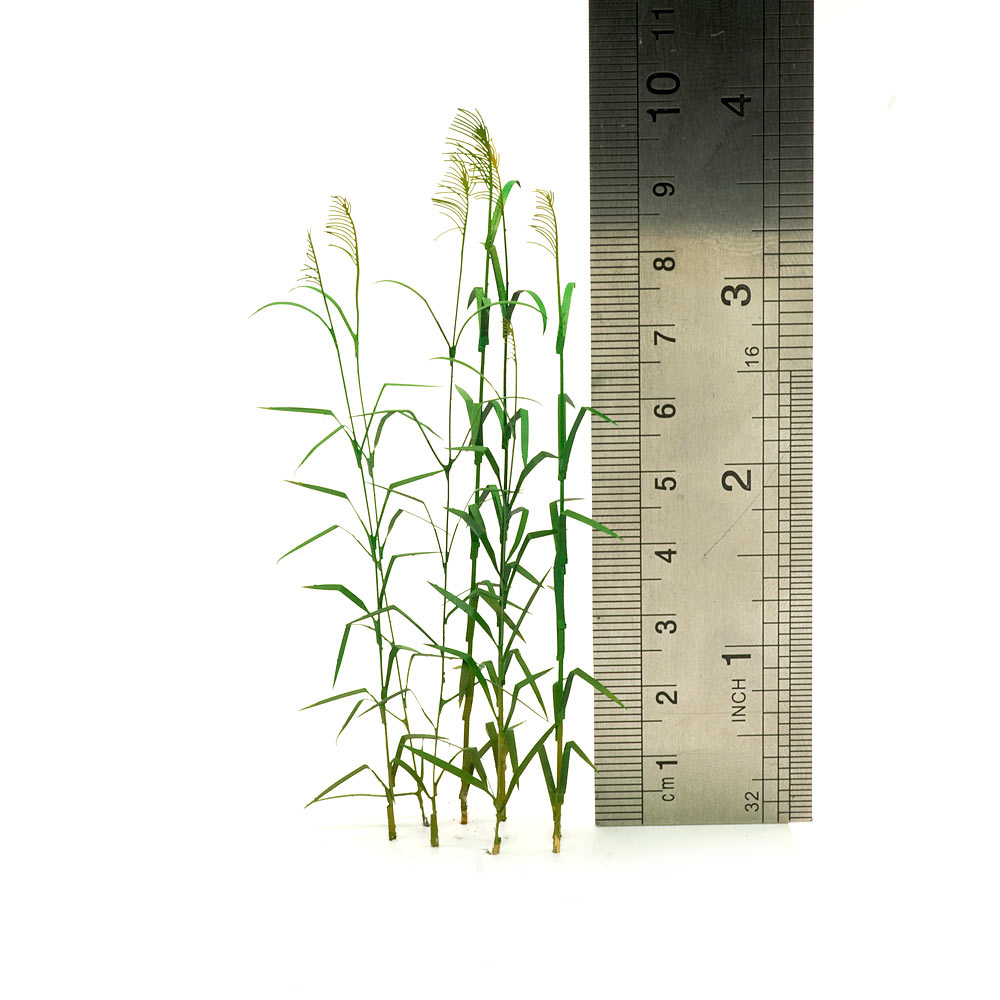 S-100 Тростник, размер M