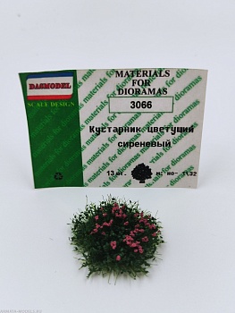 3066 Кустарник цветущий вар.4