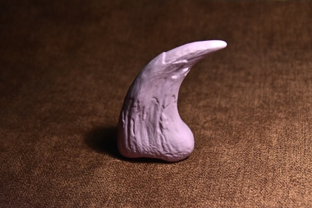 DINO10002 Коготь аллозавра