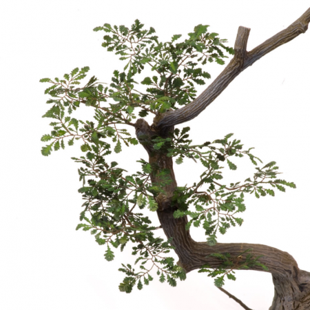 S-114 Дуб обыкновенный, размер М